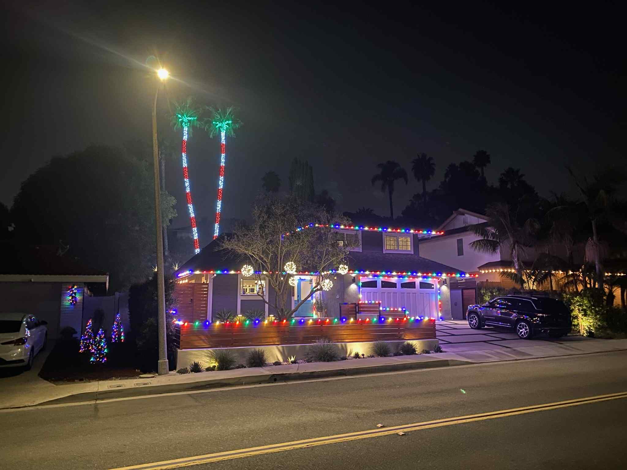 Full property lighting with palm trees and roofline